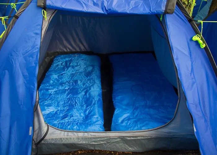 Stoke Travel's Amsterdam * Halfweg